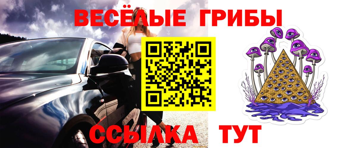 Псилоцибиновые грибы Psilocybine cubensis Новоуральск